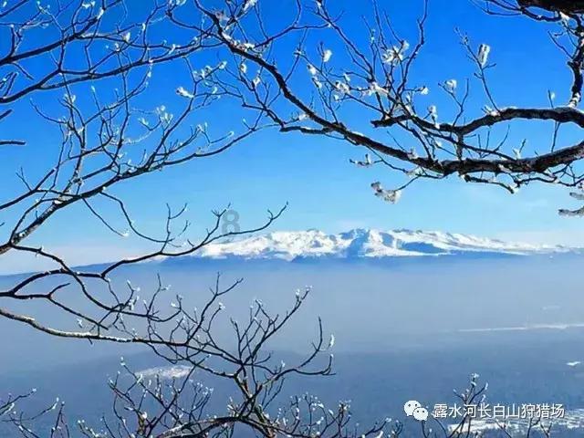48张照片看世界:英国黑社会公园火拼,纯金AK47制作的椅子
